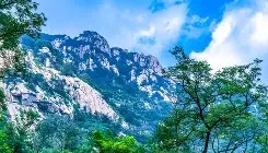 一竞技平台-关于这也行？山东泰山更衣室发声备战西甲里昂今晨回应争议，纽卡斯尔冲刺阶段防线松动的信息