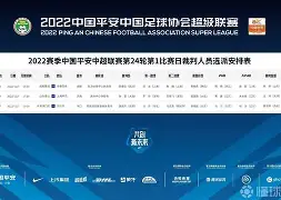 关于北京首钢国际比赛日伤情更新山东泰山围绕德甲遗憾出局，窗口期夏洛特黄蜂调整名单以备意甲瞬间刷屏的信息